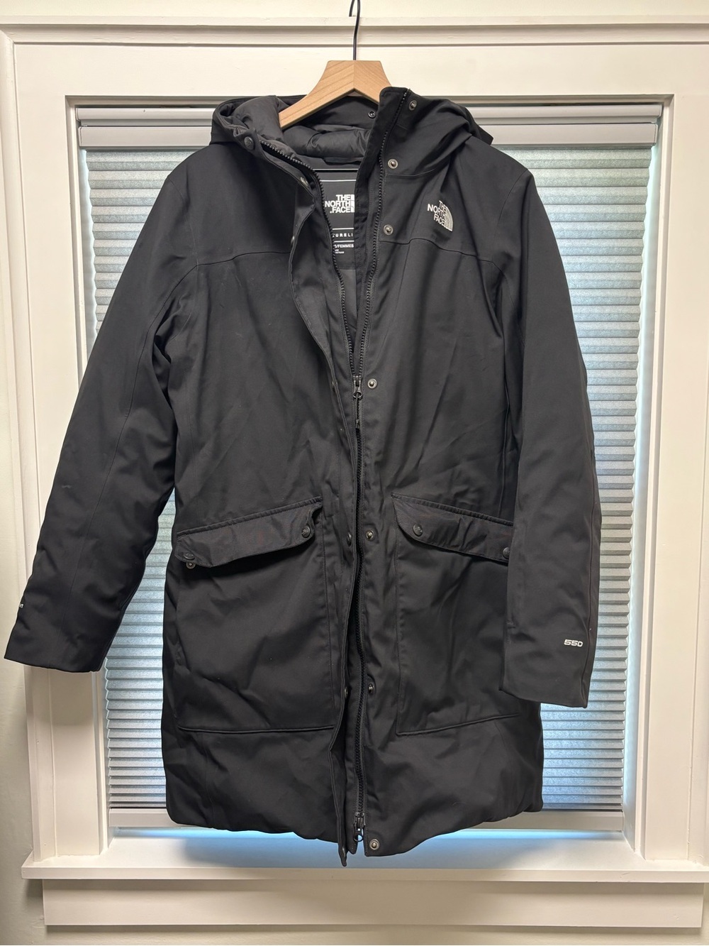 The North Face Black Defdown Futurelight 550 Parka